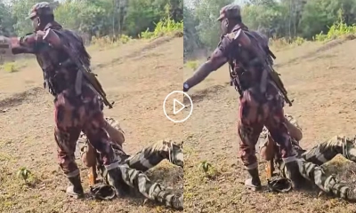 বাংলাদেশে প্রবেশ করে কৃষক ধরতে গিয়ে ধরা খেল বিএসএফ, বিজিবির পায়ে পড়ে ক্ষমা চাইল