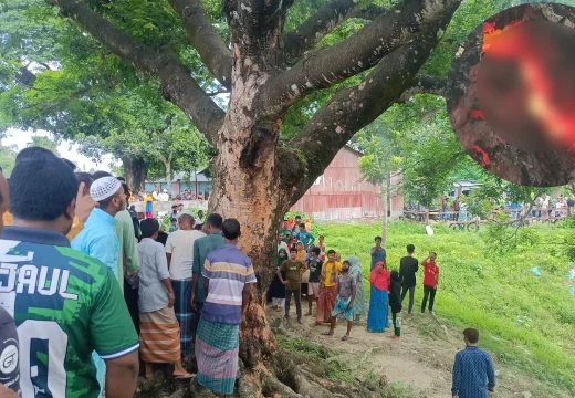 চিলমারীতে শতবর্ষী কড়ই গাছে আগুন, রহস্যে জনমনে কৌতূহল