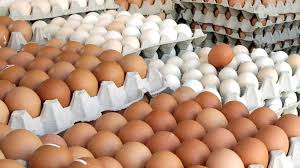 ডিম খাওয়ায় সতর্কতা: কার জন্য উপকারী, কার জন্য ক্ষতিকর