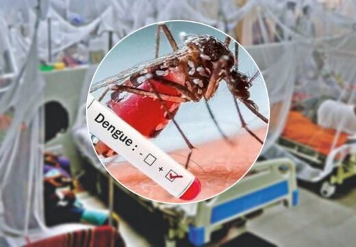 ডেঙ্গুর প্রকোপ বেড়েই চলেছে, গ্রামাঞ্চলে বেশি প্রভাব