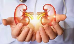 কিডনির সমস্যা আগে চোখেই জানায় সংকেত