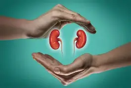 কিডনি রোগের লক্ষণ চিনুন, সময়মতো নিন সতর্কতা