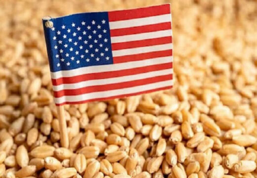জিটুজি পদ্ধতিতে যুক্তরাষ্ট্র থেকে প্রথমবার গম আমদানি শুরু করেছে সরকার