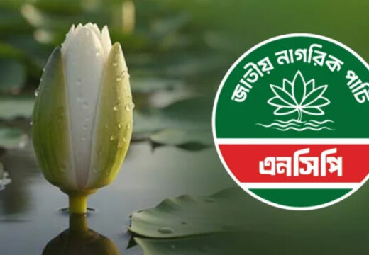 এনসিপির পছন্দের তালিকায় ‘শাপলা কলি’, প্রতীক বরাদ্দে আবেদন নির্বাচন কমিশনে