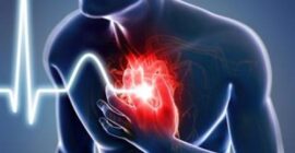 অতিরিক্ত প্রোটিন ডায়েটেই বাড়ছে তরুণদের হার্ট অ্যাটাকের ঝুঁকি