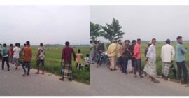 বালাগঞ্জে কোড়া শিকার নিয়ে চাঞ্চল্য, শত শত মানুষের ভিড়