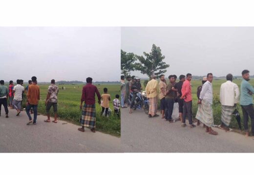 বালাগঞ্জে কোড়া শিকার নিয়ে চাঞ্চল্য, শত শত মানুষের ভিড়