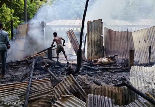 বালাগঞ্জে অগ্নিকাণ্ডে ৫টি গরুসহ গোয়ালঘর পুড়ে ছাই